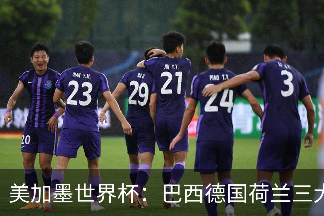 美加墨世界杯：巴西德国荷兰三大豪门将出战